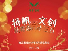 年终会：记2015年终总结大会暨2016年计划会议