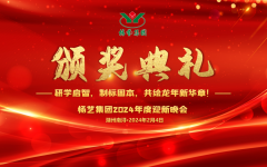 2024年创世大发集团迎新春年会暨颁奖典礼盛大举行