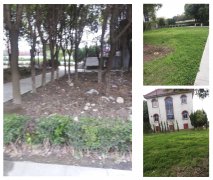 老墓园改造：城市中的绿色记忆与文化传承