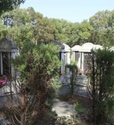 绿色生态葬：文明赓续的绿色选择